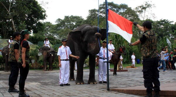 &#91;UPDATE&#93; Pengibaran Bendera Merah Putih yang Unik di Berbagai Daerah Nusantara
