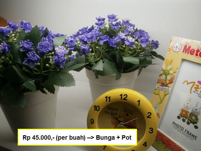 POT BUNGA PLASTIK KECIL