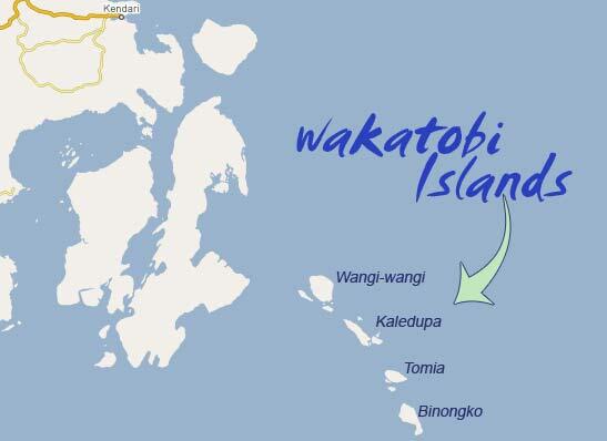 Surga Bawah Laut Pulau Tomia Wakatobi 