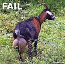 Gambar Konyol Banget..