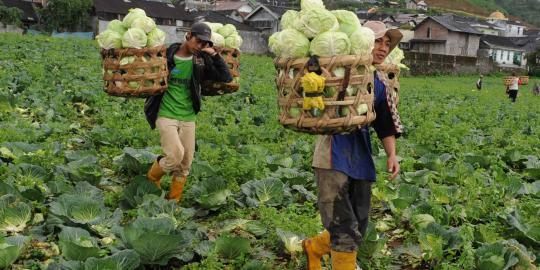 Sarjana Pertanian Terbanyak di Dunia Adalah Indonesia, Tetap Hobi Impor