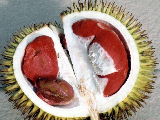 Bau durian hebohkan konsulat Malaysia di Australia