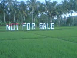 #IndonesiaBerjamaah ( Ayo beli ulang Indonesia )