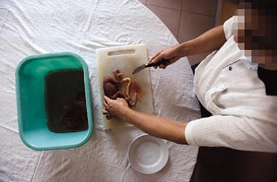 Janin Bayi Dijadikan Makanan Soup 
