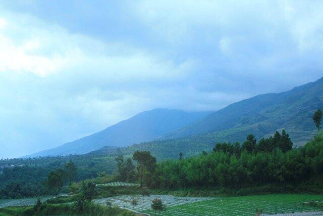 Wisata Dieng, Ibarat Terbang ke Negeri di Atas Awan