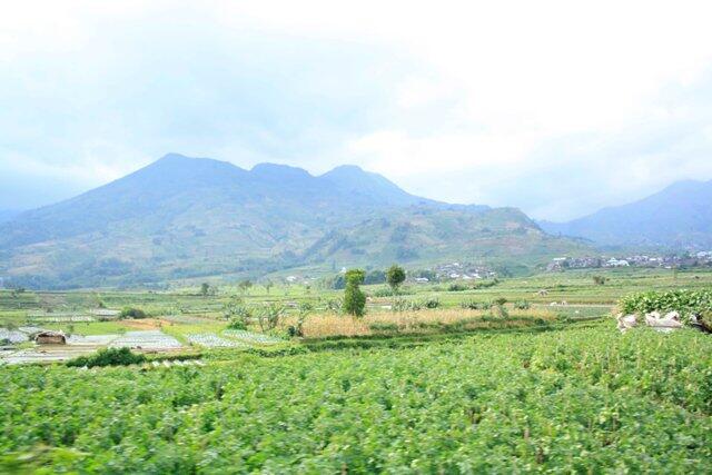 Wisata Dieng, Ibarat Terbang ke Negeri di Atas Awan