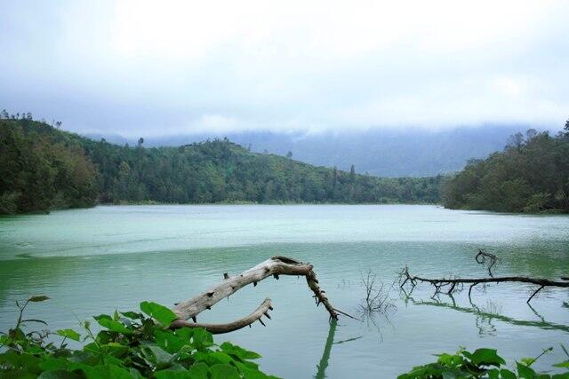 Wisata Dieng, Ibarat Terbang ke Negeri di Atas Awan