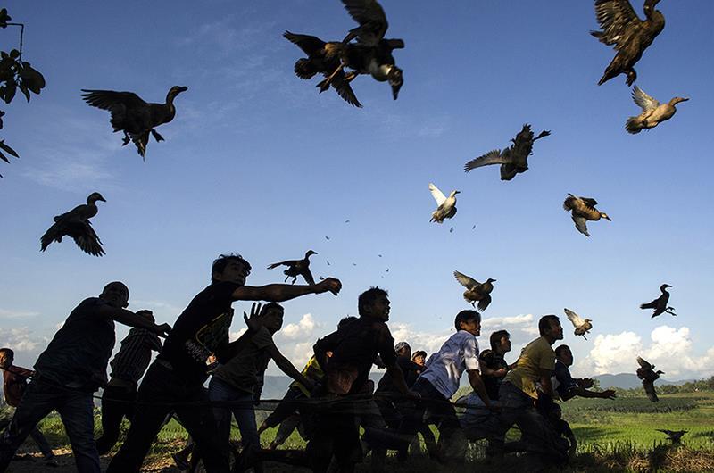JUARA LOMBA DAN PAMERAN FOTO INDONESIA 2013