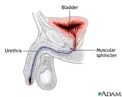 &#91;Tidak Lucuna Nampaknya&#93; Petualangan Seks Gagal, Garpu 10 Cm Terjebak dalam Penis