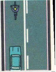 Kapan Garis Putih di Jalan Raya Mulai Muncul? 