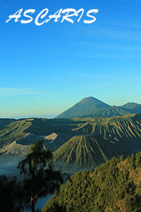 Trip Gunung Bromo 13-14 Oktober 2013. Ikut Yuk !!!