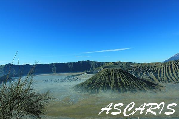 Trip Gunung Bromo 13-14 Oktober 2013. Ikut Yuk !!!