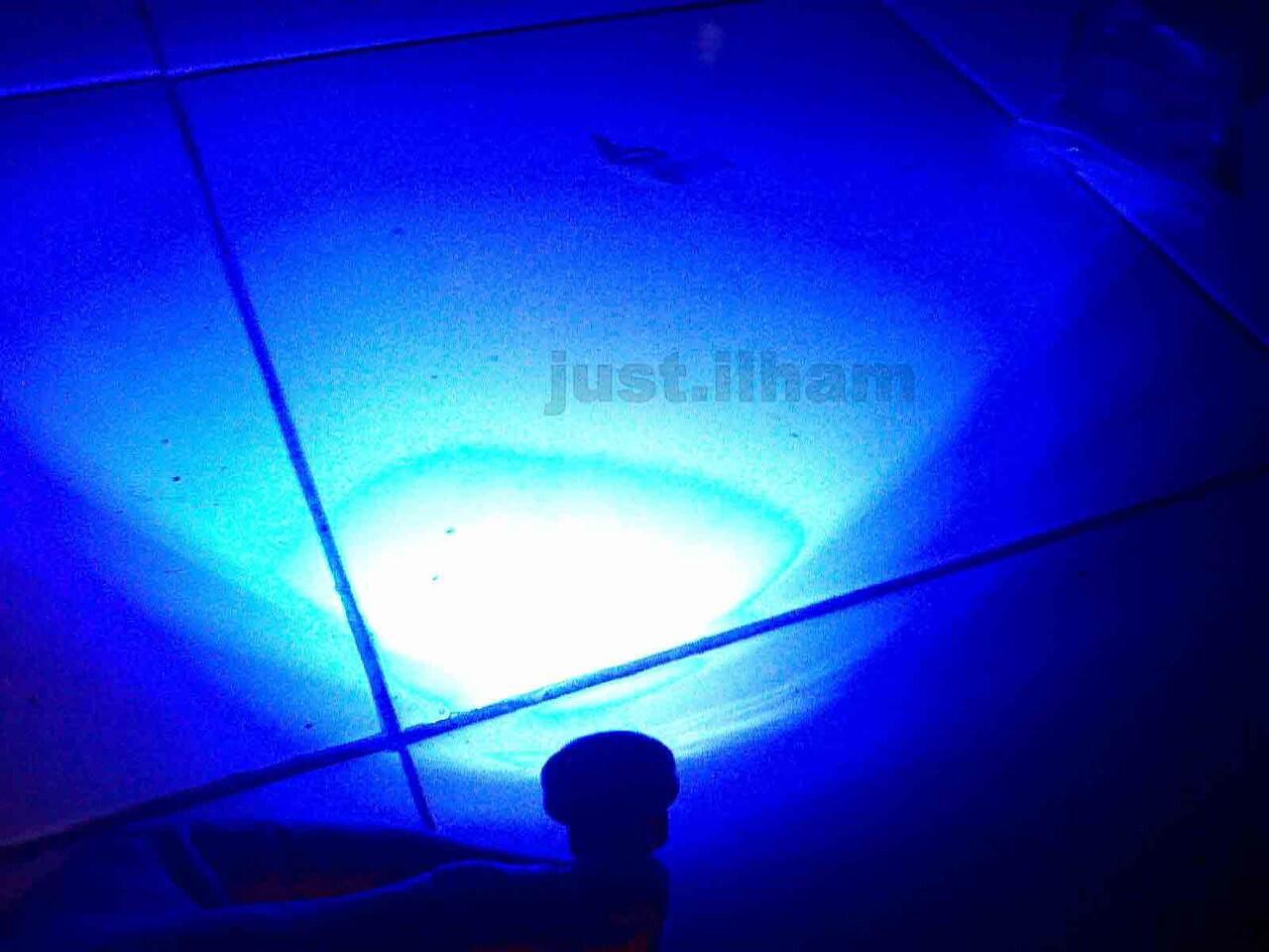 LED MATA ELANG 12V