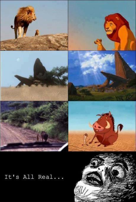 Ternyata beneran ada aslinya gan si LION KING tuh..