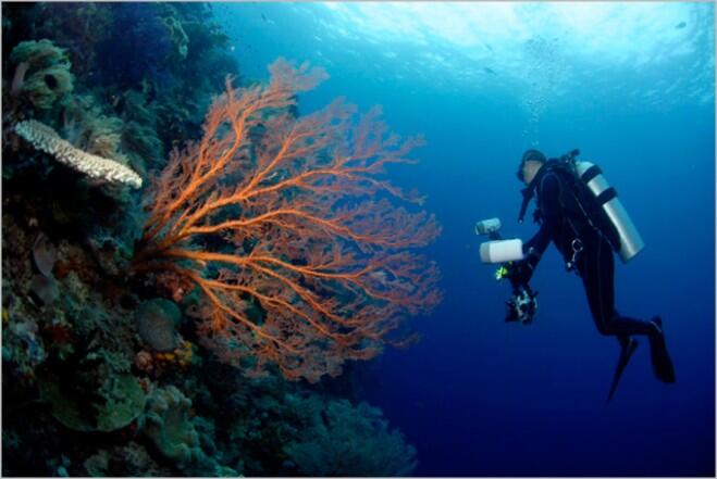 Indahnya Papua, Indahnya Raja Ampat, Indahnya Indonesia