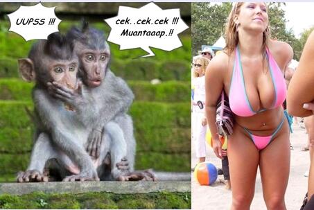 2 Mahluk sampai Melongok Melihatnya...yg tidak kuat jangan lihat...?