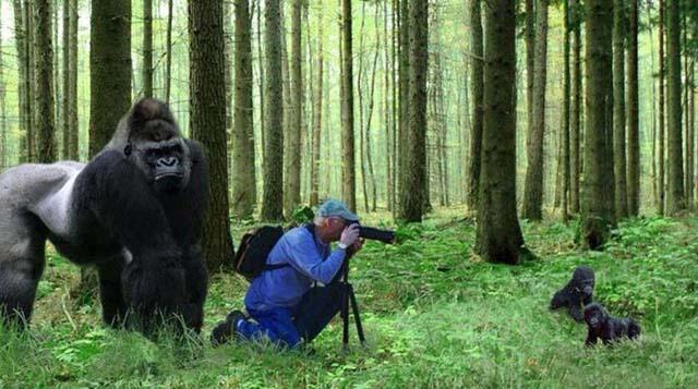 Udah Deh Nggak Usah Punya Cita-cita Jadi Fotografer
