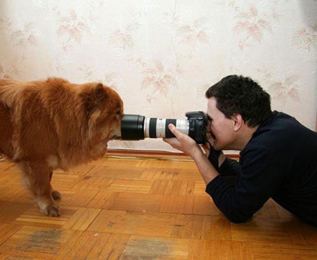 Udah Deh Nggak Usah Punya Cita-cita Jadi Fotografer