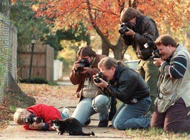 Udah Deh Nggak Usah Punya Cita-cita Jadi Fotografer