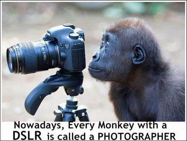Udah Deh Nggak Usah Punya Cita-cita Jadi Fotografer