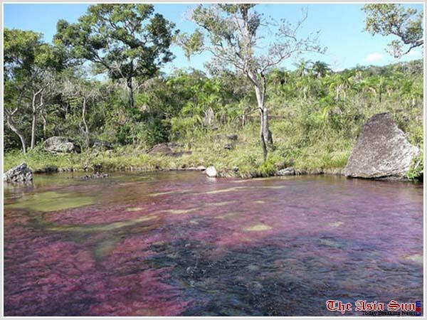Serrania de La Macarena sungai lima warna yang menakjubkan!