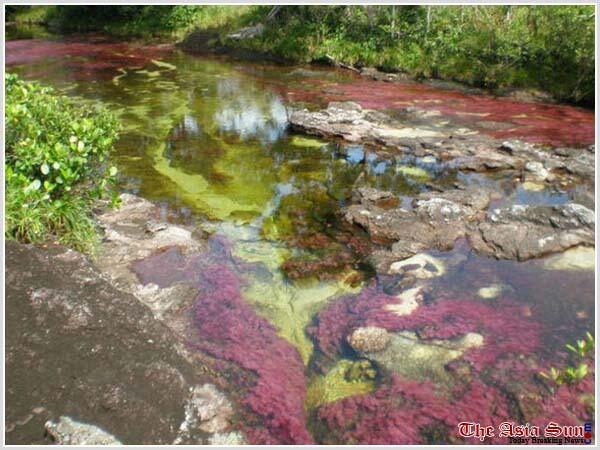 Serrania de La Macarena sungai lima warna yang menakjubkan!