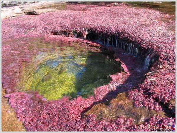 Serrania de La Macarena sungai lima warna yang menakjubkan!