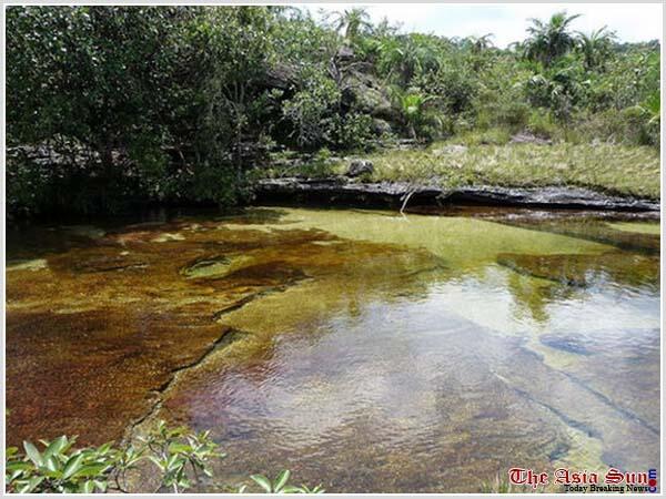 Serrania de La Macarena sungai lima warna yang menakjubkan!