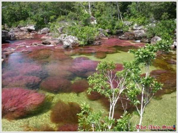 Serrania de La Macarena sungai lima warna yang menakjubkan!