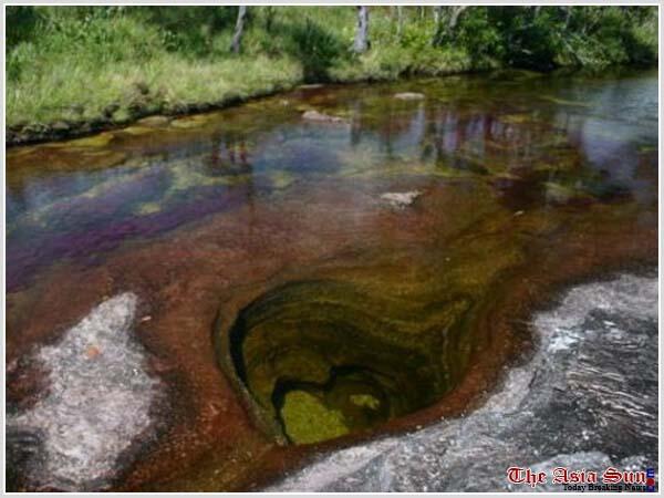 Serrania de La Macarena sungai lima warna yang menakjubkan!