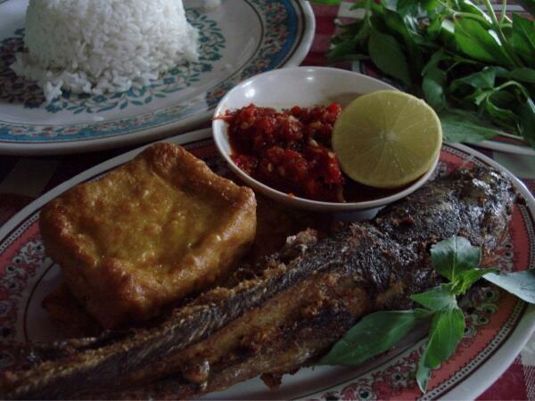 Manfaat Dan Kandungan Gizi Lele
