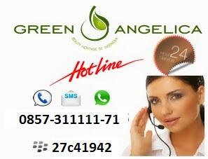 Obat uban hasil permanen - Green angelica hair remedies