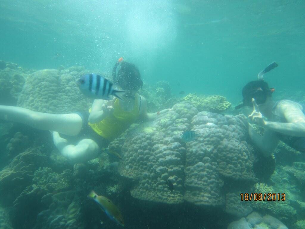 &#91;SCEDHULED&#93; BACKPACKER TRIP TO KARIMUNJAWA (16 - 18 AGUSTUS 2013)