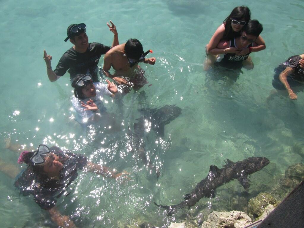 &#91;SCEDHULED&#93; BACKPACKER TRIP TO KARIMUNJAWA (16 - 18 AGUSTUS 2013)