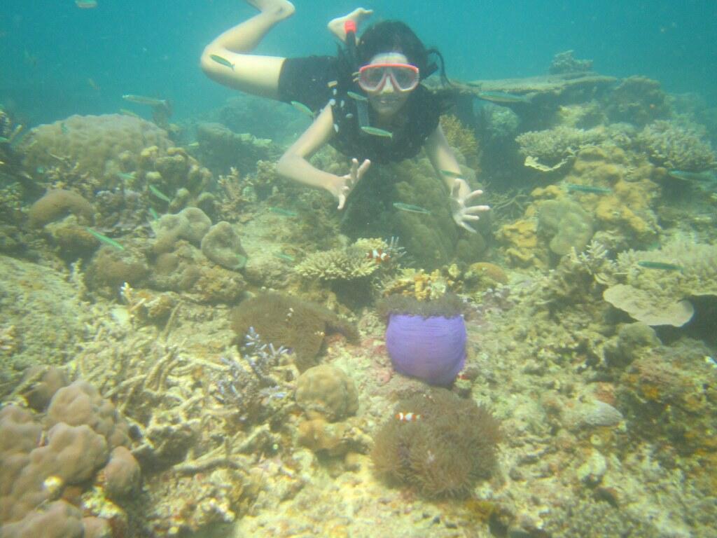 &#91;SCEDHULED&#93; BACKPACKER TRIP TO KARIMUNJAWA (16 - 18 AGUSTUS 2013)