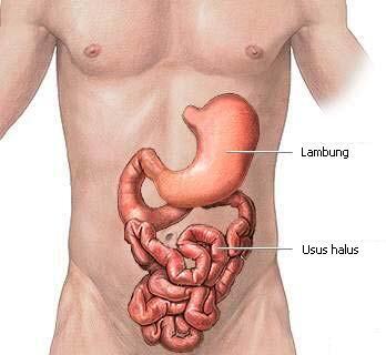 Tips Sederhana Hilangkan Pegal Dalam Sekejap