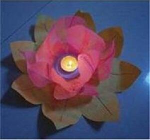 Jual Lampion Terbang/Sky Lantern dan Lampion Apung/Water Lantern MURAH Impor lsg Cina