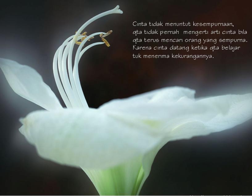 Yang Suka Puisi Cinta Mari