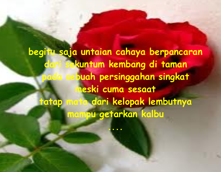 Yang Suka Puisi Cinta Mari