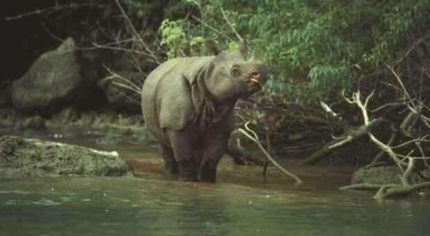 6 TEMPAT WISATA SERBA PERTAMA DI INDONESIA