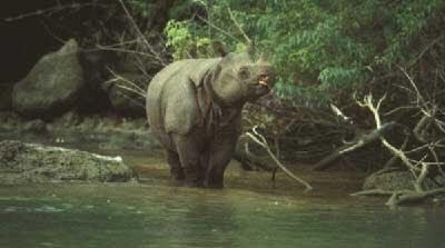 6 TEMPAT WISATA SERBA PERTAMA DI INDONESIA