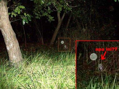 Tahapan Kemunculan Penampakan Hantu