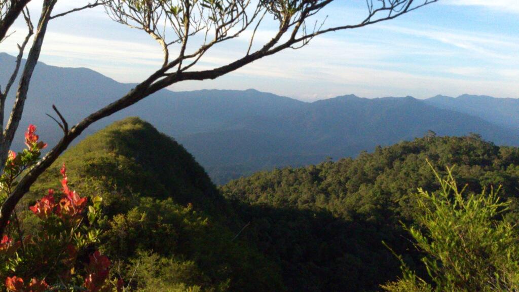 keren !!! pedalaman Kalimantan Selatan &#91;FOTO&#93;