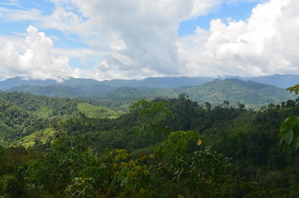 keren !!! pedalaman Kalimantan Selatan &#91;FOTO&#93;