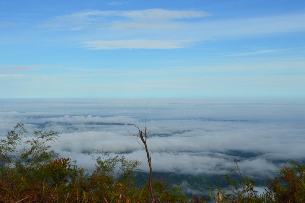 keren !!! pedalaman Kalimantan Selatan &#91;FOTO&#93;