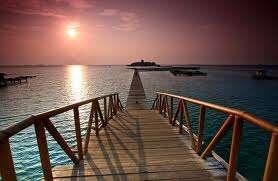 Mengintip Kecantikan Bawah Laut Pulau Tidung