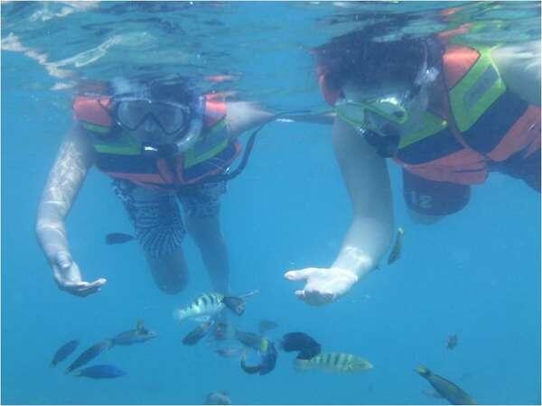 Mengintip Kecantikan Bawah Laut Pulau Tidung