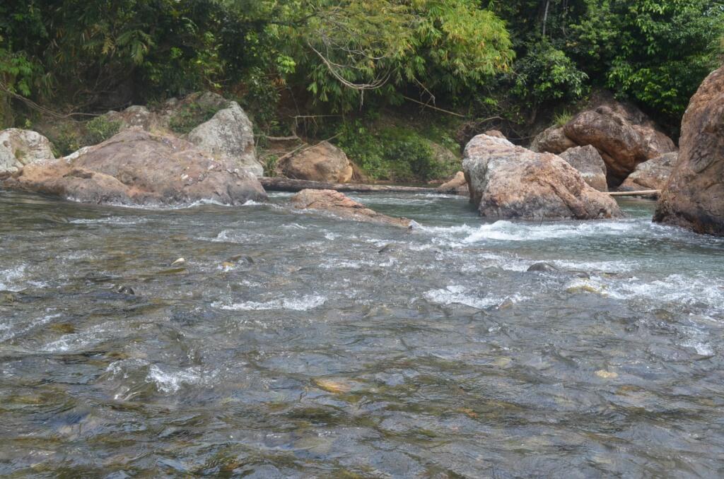 keren !!! pedalaman Kalimantan Selatan &#91;FOTO&#93;