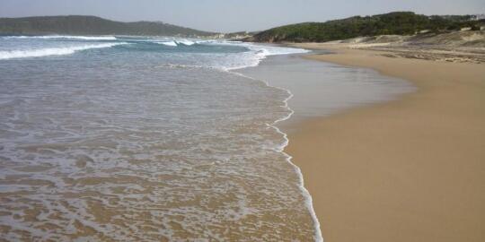 Lima pantai bebas bugil sejagat