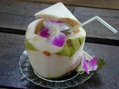 5 Kekeliruan Seputar Khasiat Air Kelapa